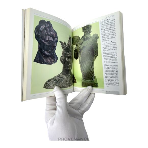 🔴 Picasso le sage et le fou JDM Art Book - Picture 7 of 8